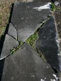 image of grave number 858293